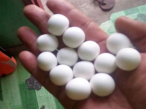 ANG KAPANGYARIHANG TAGLAY NG BATO OMO.